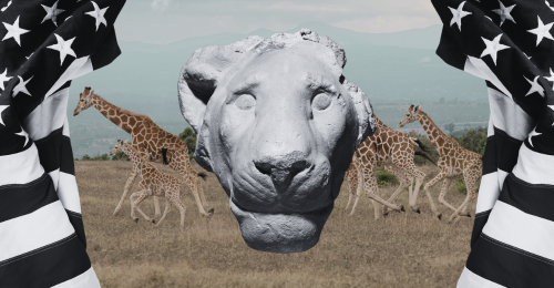 lion head statue, giraffes, and American flags