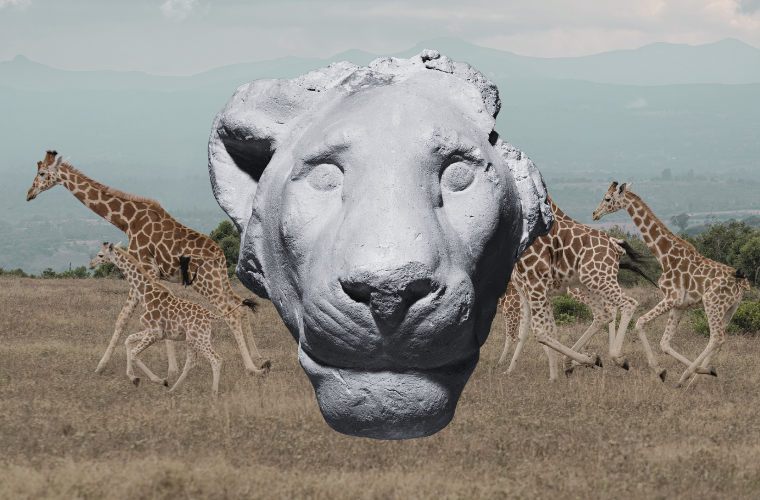 lion head statue and giraffes
