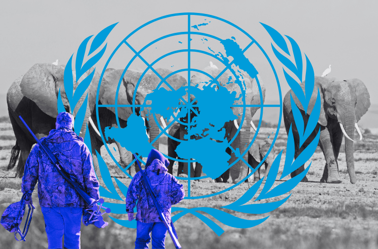 child and adult in hunting gear, UN logo, and elephants