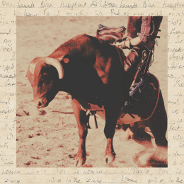 bull being ridden and handwritten letter
