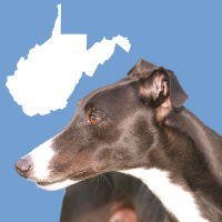West Virginia and greyhound