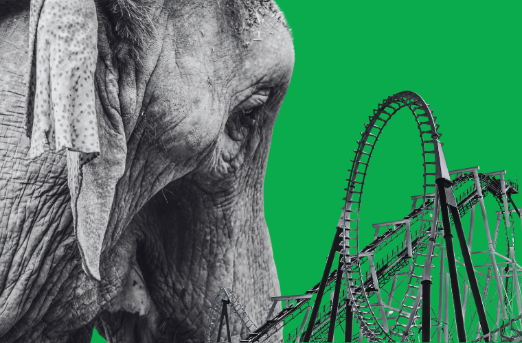 elephant and rollercoaster