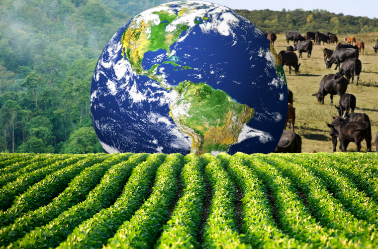 crops, Earth, rainforest, and cows