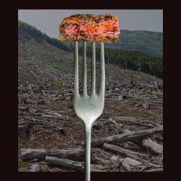 meat on fork and deforestation