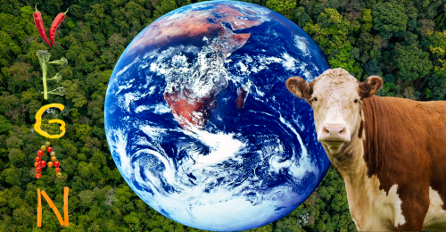 the earth, a cow, and vegan spelled in veggies