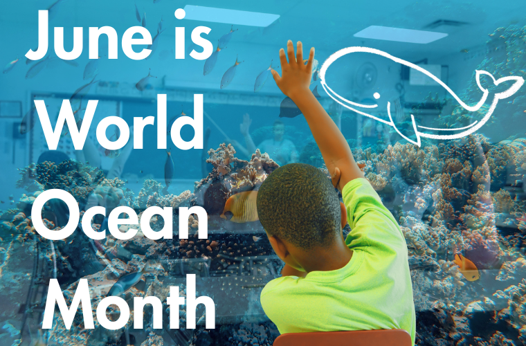 words, student raising hand in classroom, and coral and fishes