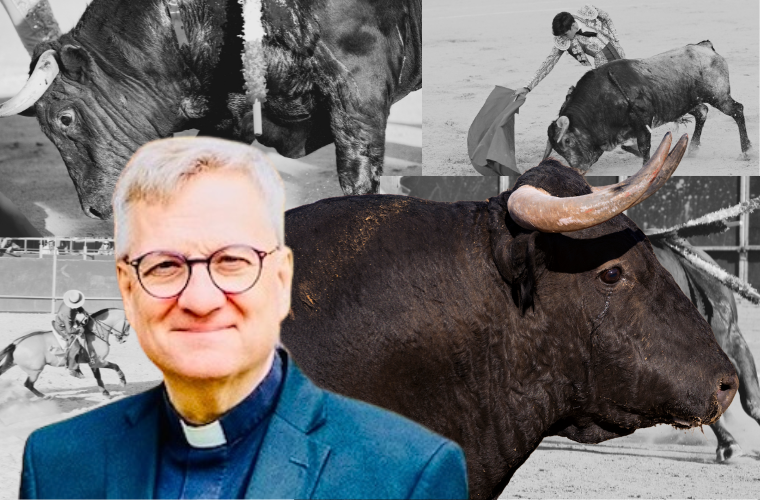 Fr Terry Martin, bull, and bullfighting images