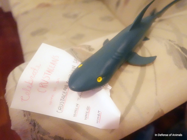 toy shark with crustacean celebration invitation
