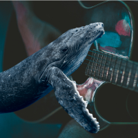 guitar and whale
