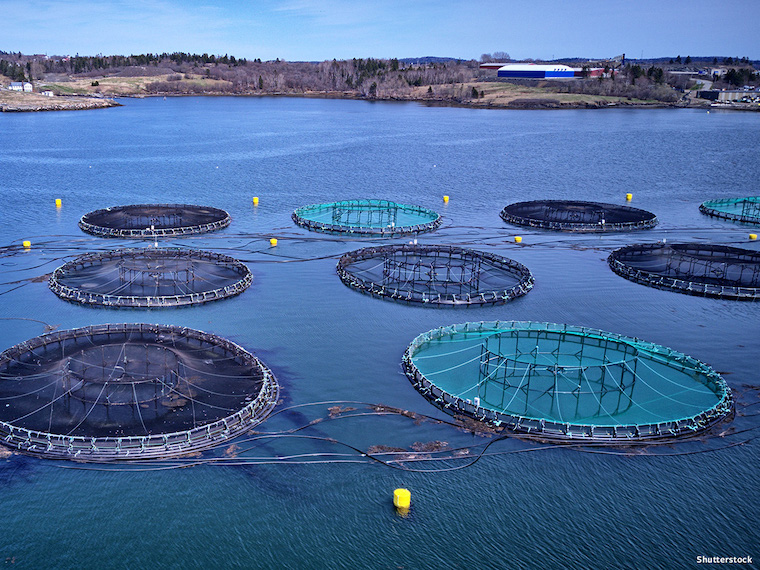 fish farms