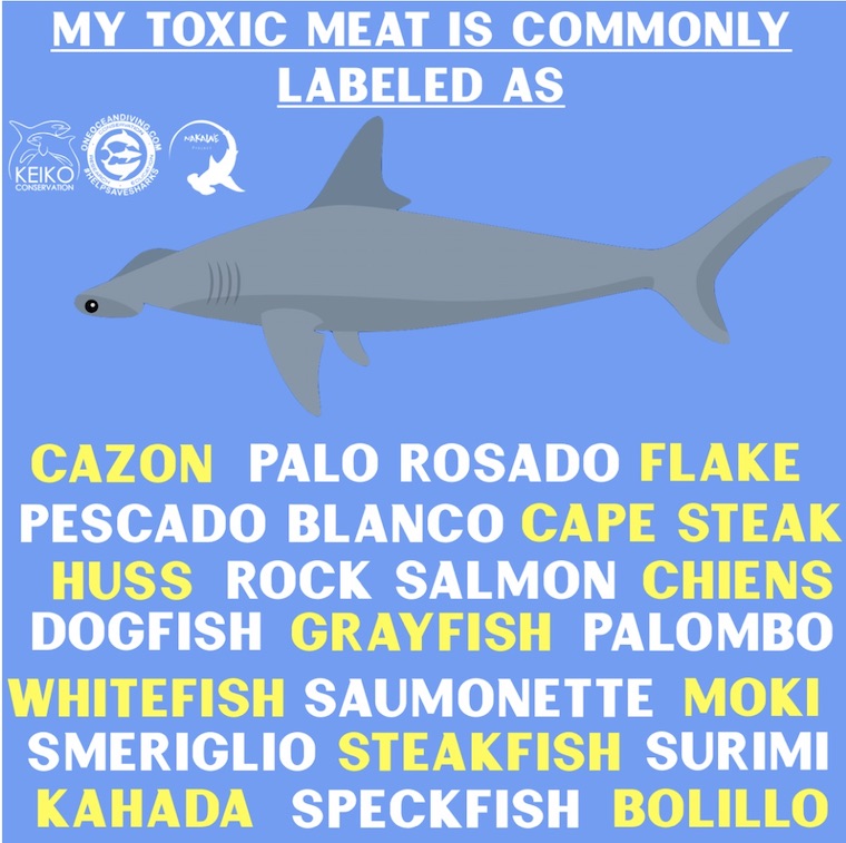 shark-meat-labels