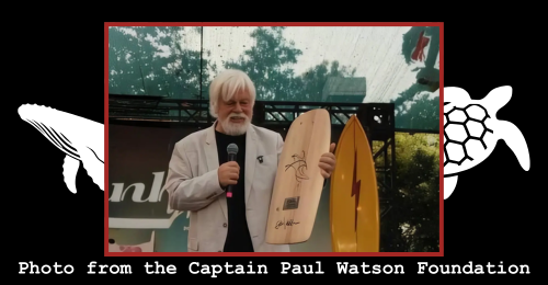 Paul Watson and award