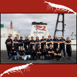 crew of the Bandero and krill