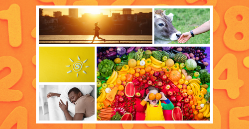 various images of good habits for healthy aging