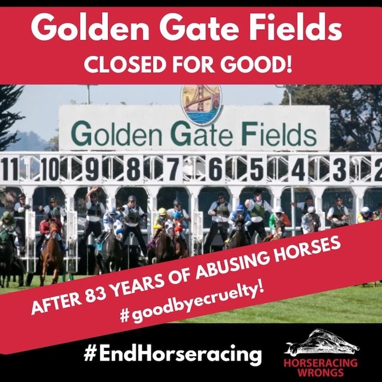 Golden Gate racetrack