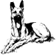 hr-199609-02-dog