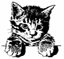 hr-199701-04-cat