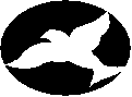 hr-199701-06-bird