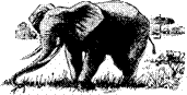 hr-199701-06-elephant