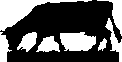 hr-199705-05-cow