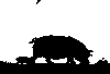 hr-199705-05-pig