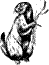 hr-199711-03-hare