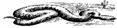 hr-199711-03-snake