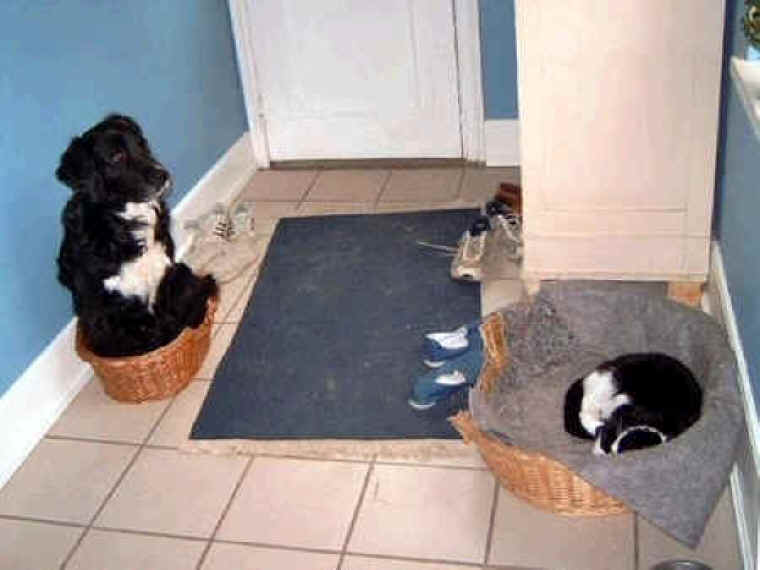 Photo - 125