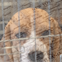 beagle in cage and map of New York