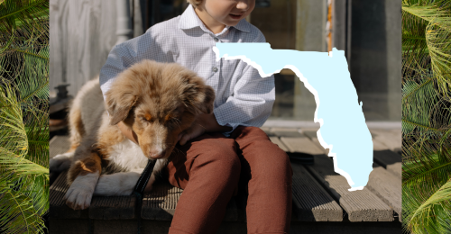 human child, dog, and state of Florida