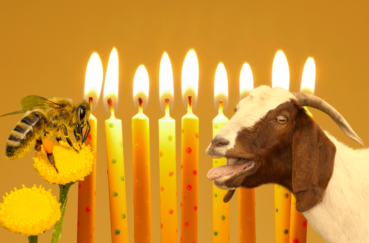 image of birthday candles, bee, and goat