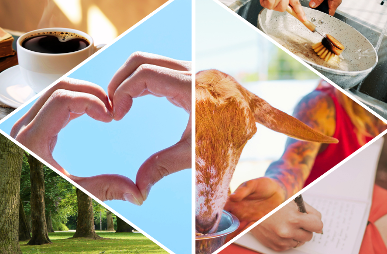coffee, park, heart hands, feeding a goat, washing dishes, writing