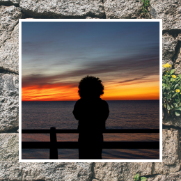 human watching sunset and flowers growing through stones