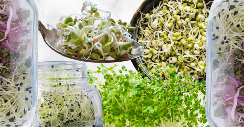 various sprouts