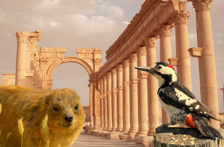 image of creatures and ruins