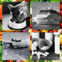 various black and white photos