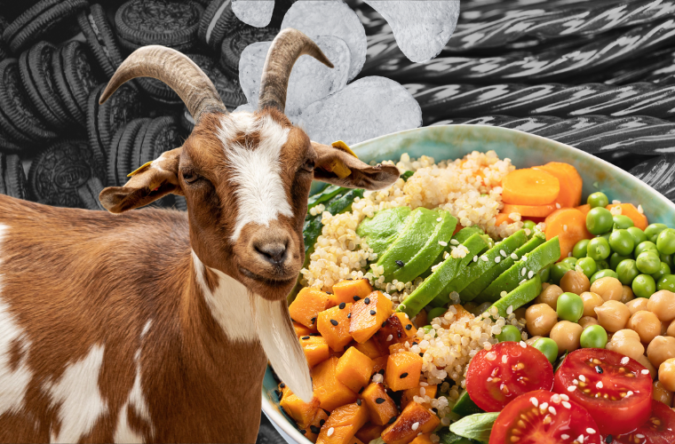 goat, junk food, and health food