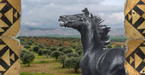 tiles, olive grove in Syria, and horse
