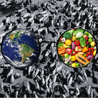 cows and glasses with Earth and fruits and veggies