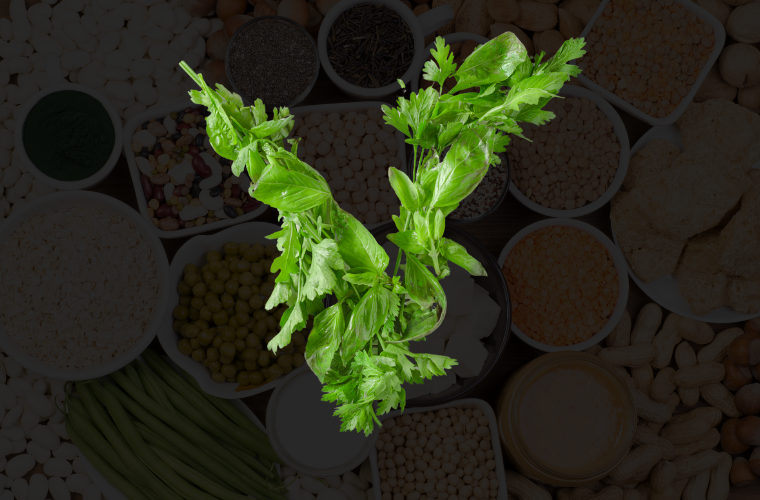 image of vegan food and V made of leaves