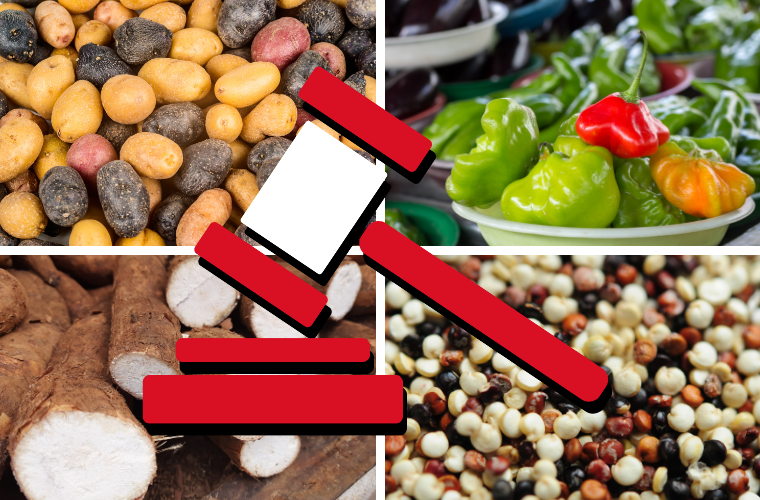 gavel icon and traditional Peruvian ingredients