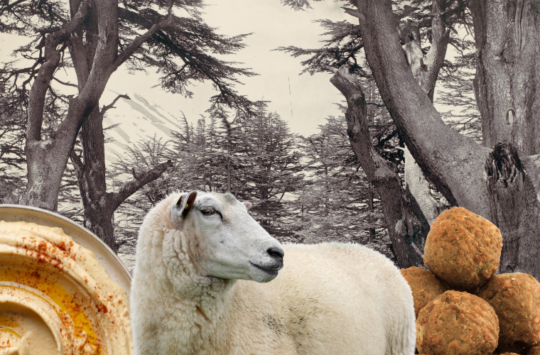 hummus, falafel, sheep, and cedars of Lebanon