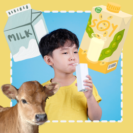 child, calf, and milk graphics