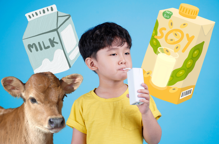 child drinking beverage, calf, and milk and soy milk graphics