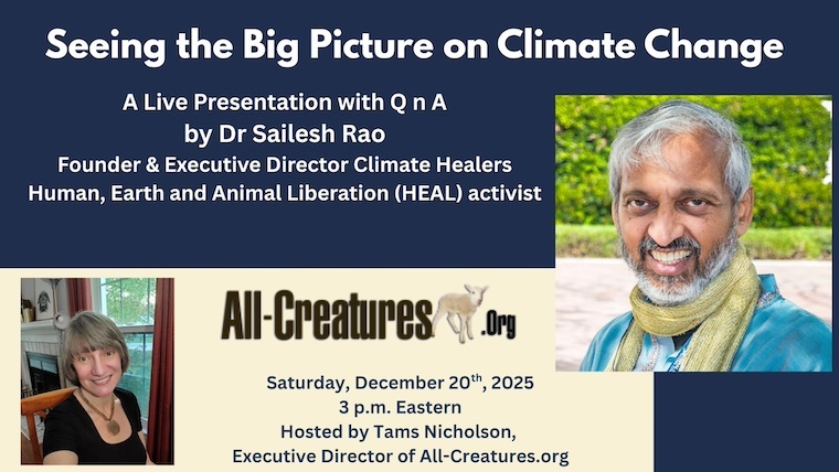 live stream thumbnail