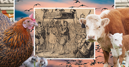 images representing content in this week's newsletter