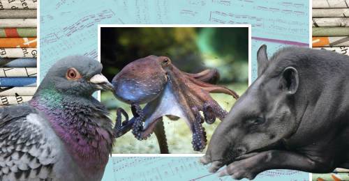 images representing content in this week's newsletter