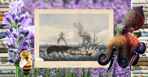 images representing content in this week's newsletter