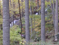 Crabtree Falls - 3 Nov 2005 - 005a