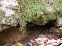 Crabtree Falls - 3 Nov 2005 - 008
